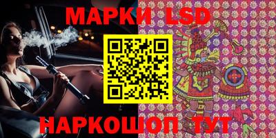 гидропоника Можга