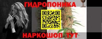 гидропоника Можга