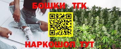 гидропоника Можга