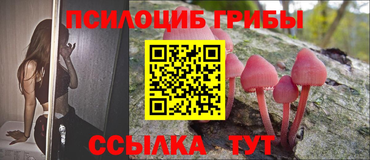 Галлюциногенные грибы прущие грибы  где продают   Сунжа  Псилоцибиновые грибы GOLDEN TEACHER  Вход с VPN 