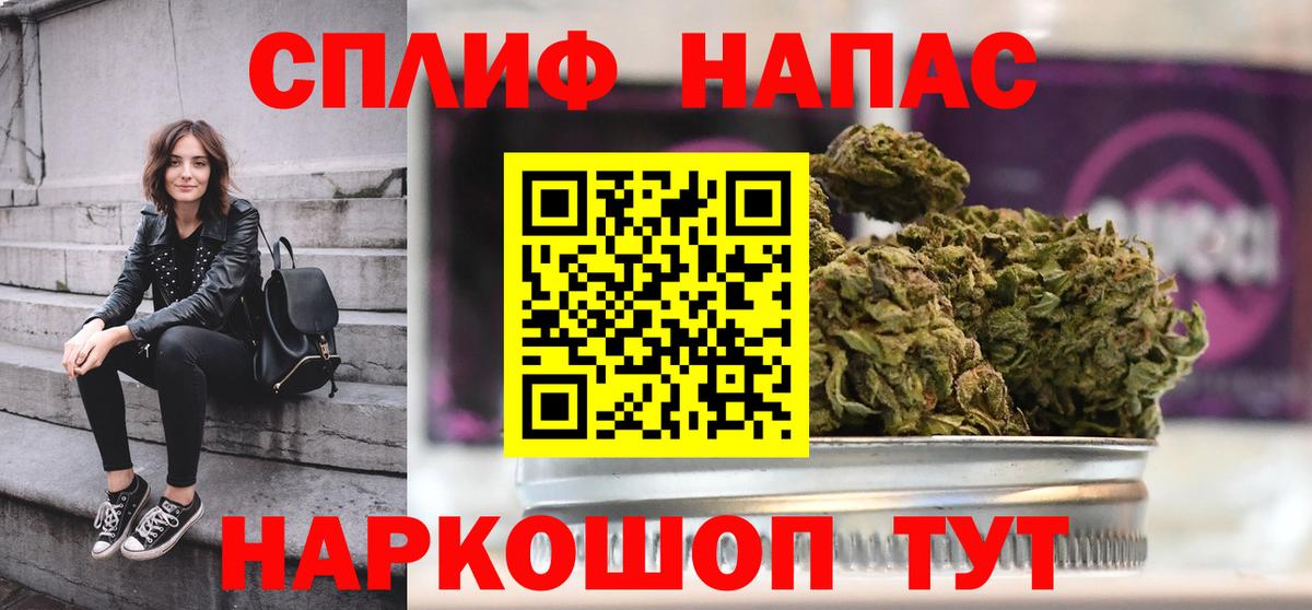 Канабис сатива  Каннабис сатива  Канабис SATIVA & INDICA  Вход с VPN  Сунжа  Бошки Шишки Bruce Banner 